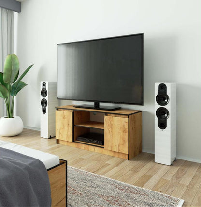 Meuble TV, 120 x 40 x 55 cm, marron